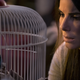 Image for article titled Nielsen confirms that Bird Box really is as popular as its endless deluge of memes suggests